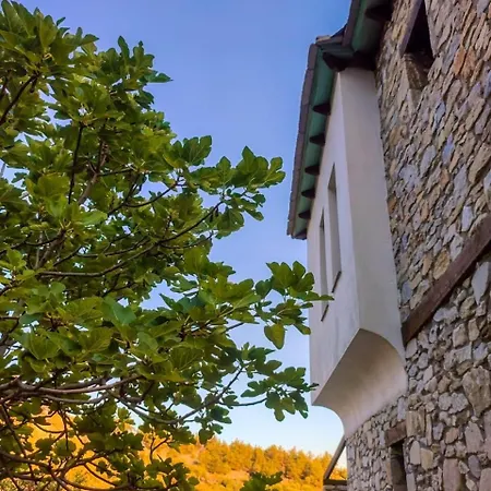 Petradi House Σπίτι διακοπών Αλυκή